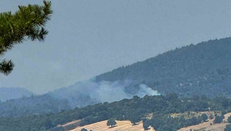 Dursunbey’de arazide çıkan yangın ormana sıçradı